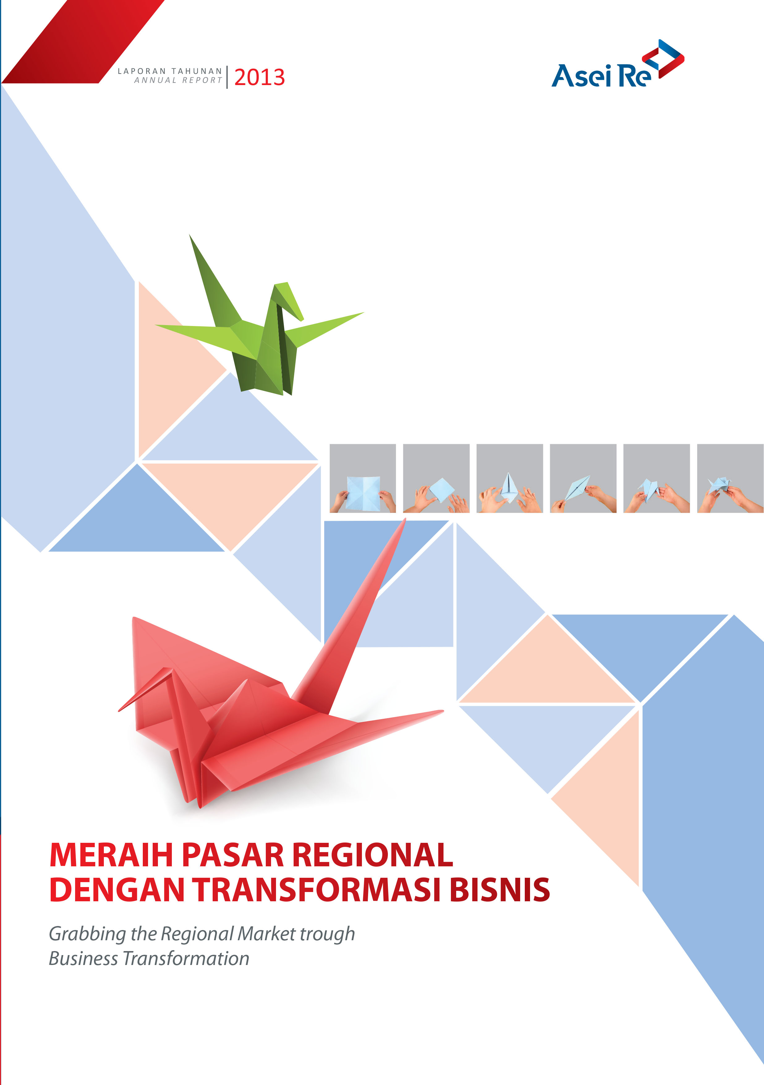 Annual Report 2013